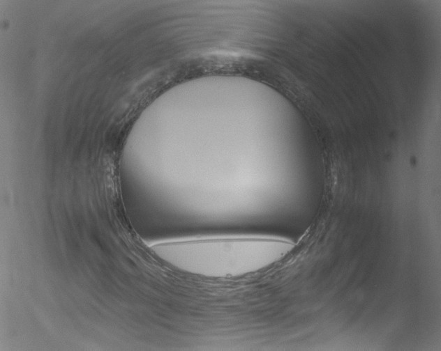 X0000052650964200507011029