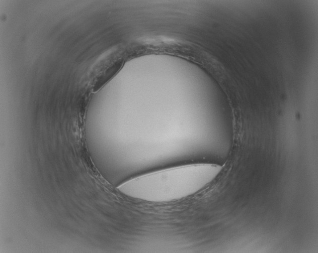 X0000052650966200507011029