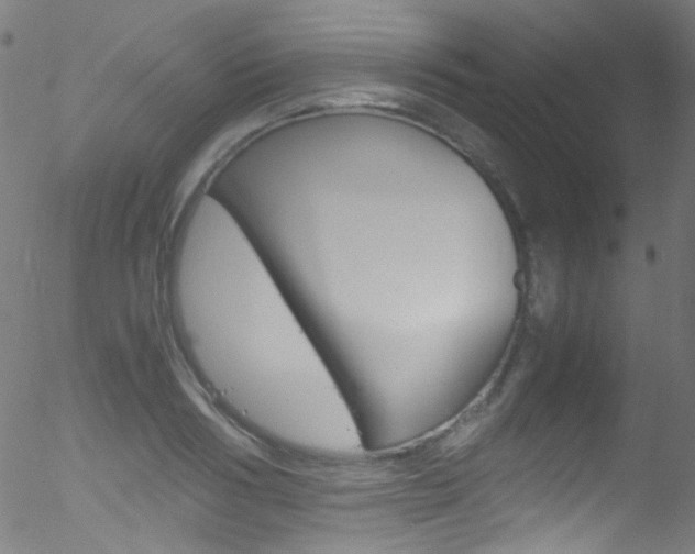 X0000052650986200507011028