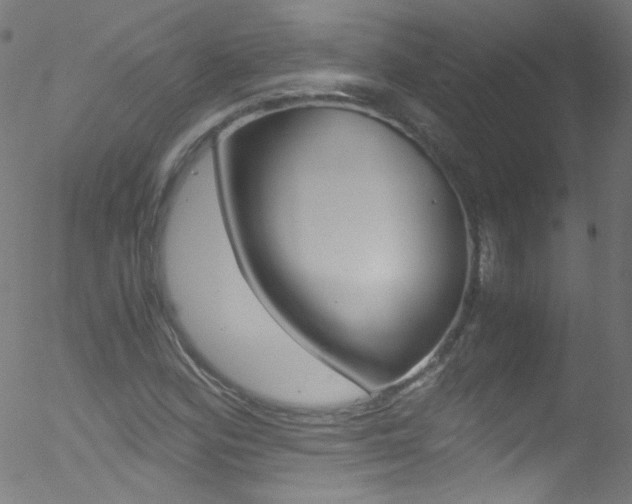 X0000052651164200507011025
