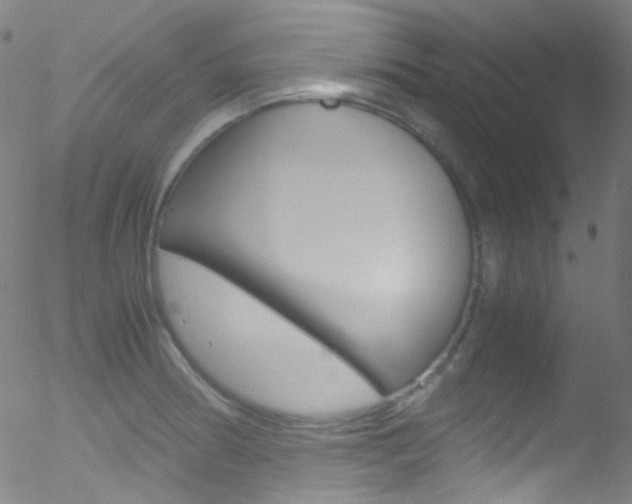 X0000052651186200507011025