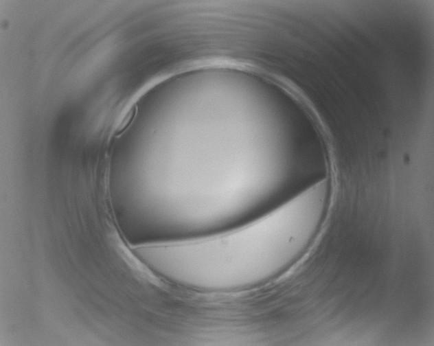 X0000052651244200507011025