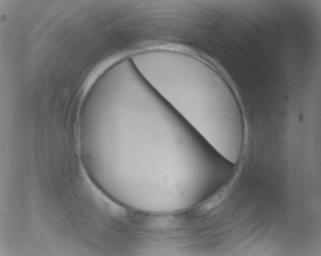 X0000052651247200507011025