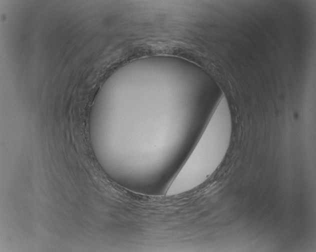 X0000052651249200507011024