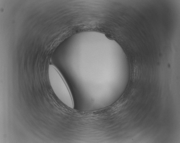 X0000052651250200507011024