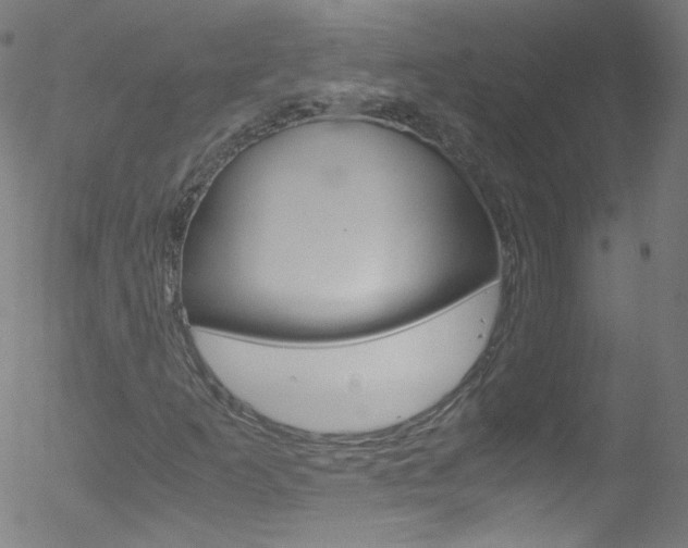 X0000052651253200507011024