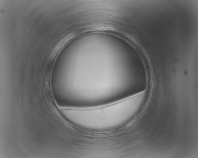 X0000052651273200507011024