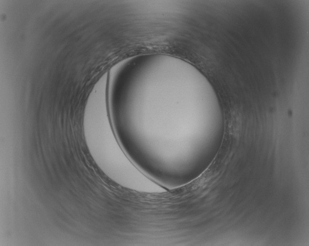 X0000052651298200507011022