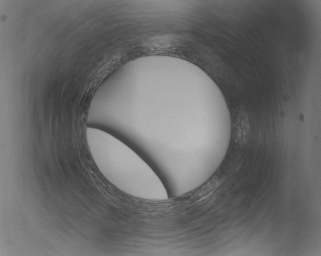 X0000052651346200507011022