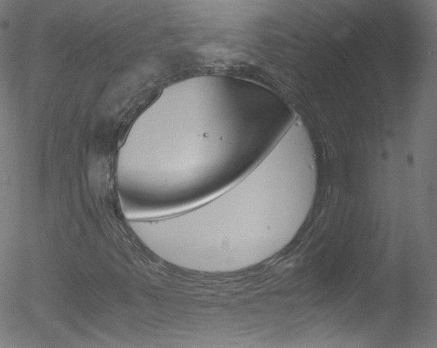X0000052651347200507011022