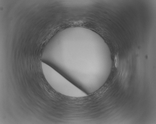 X0000052651395200507011021