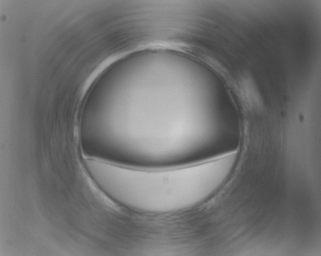 X0000052651428200507011021