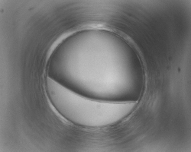X0000052651432200507011022