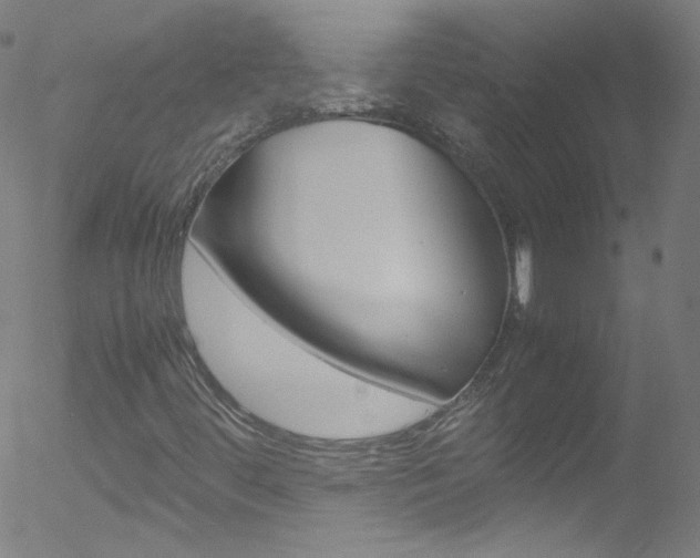 X0000052651444200507011021