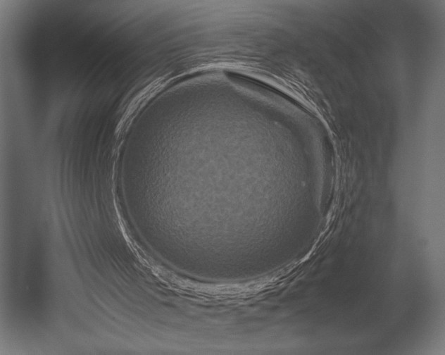 X0000052650001200507011425