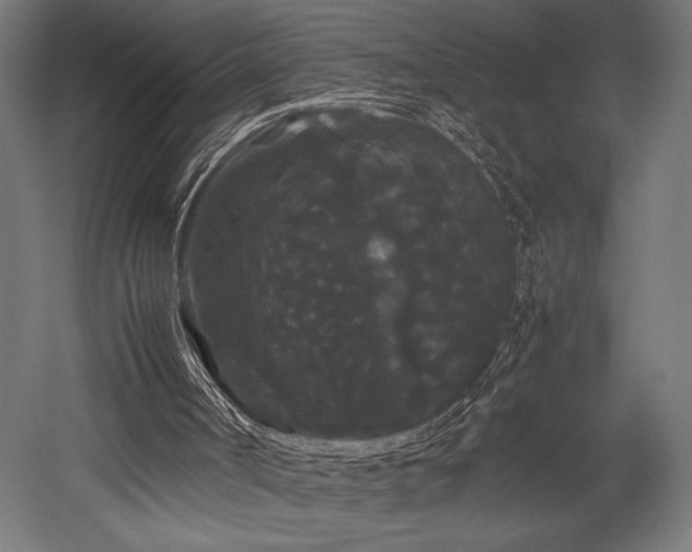 X0000052650002200507011425
