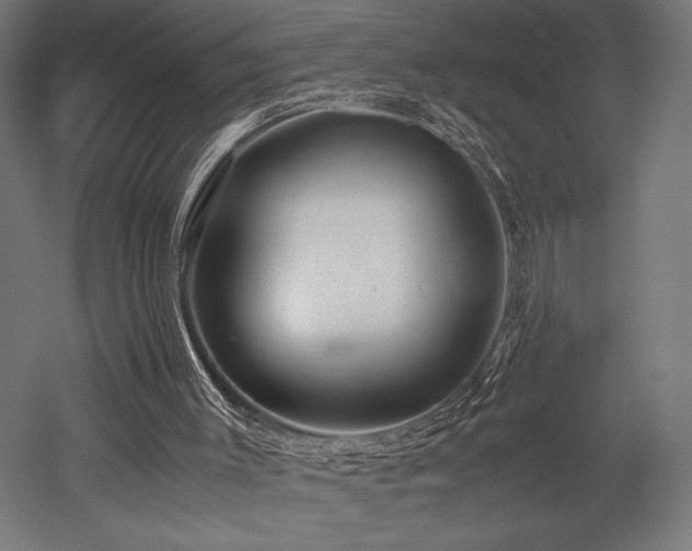 X0000052650003200507011425