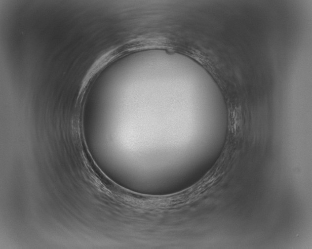 X0000052650004200507011425