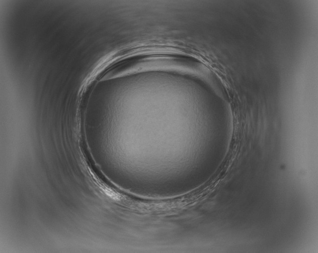X0000052650005200507011425