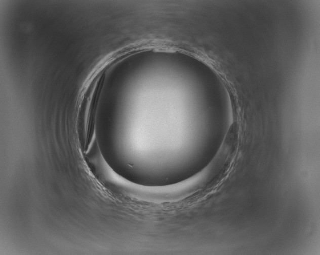 X0000052650007200507011425