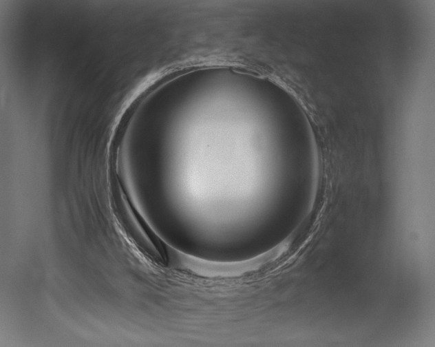 X0000052650008200507011424
