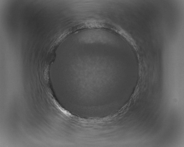 X0000052650009200507011424