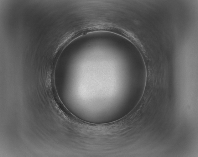 X0000052650010200507011424