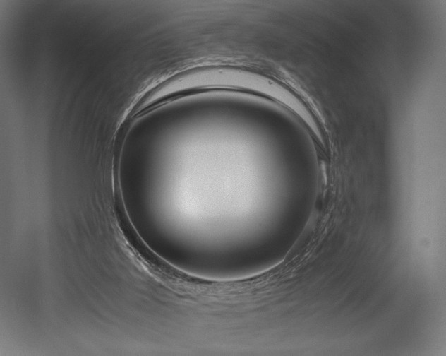 X0000052650011200507011424
