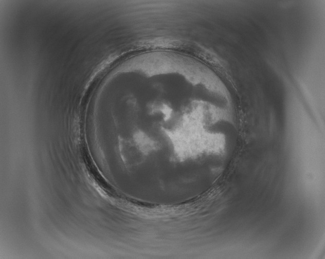 X0000052650012200507011424