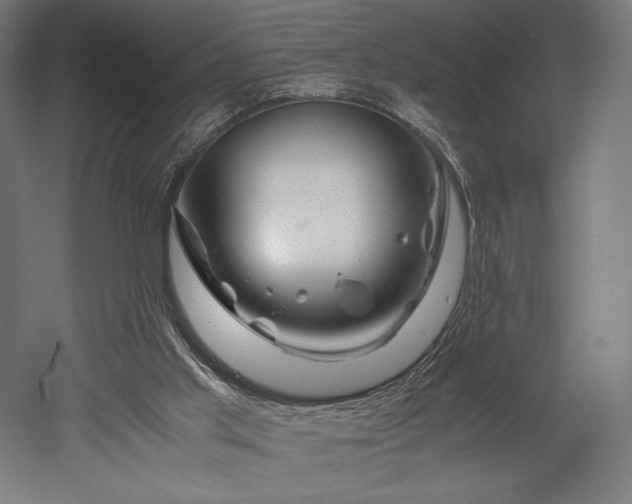 X0000052650013200507011424