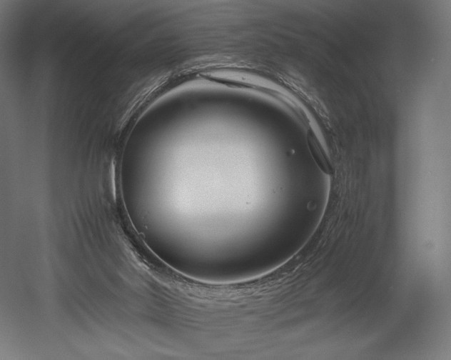 X0000052650014200507011424