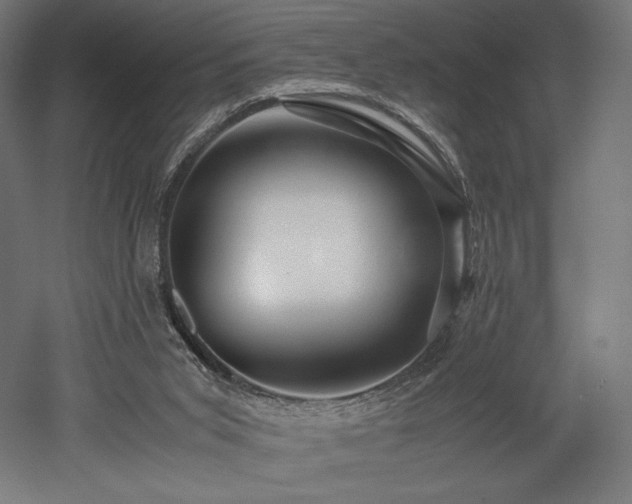 X0000052650015200507011424