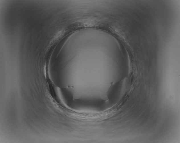 X0000052650019200507011424