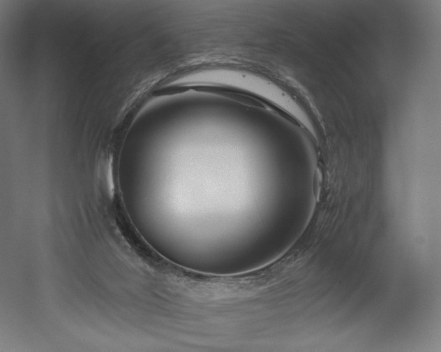 X0000052650020200507011424