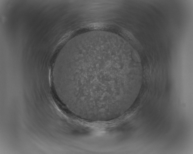 X0000052650024200507011424