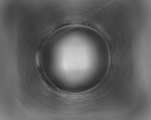 X0000052650026200507011424