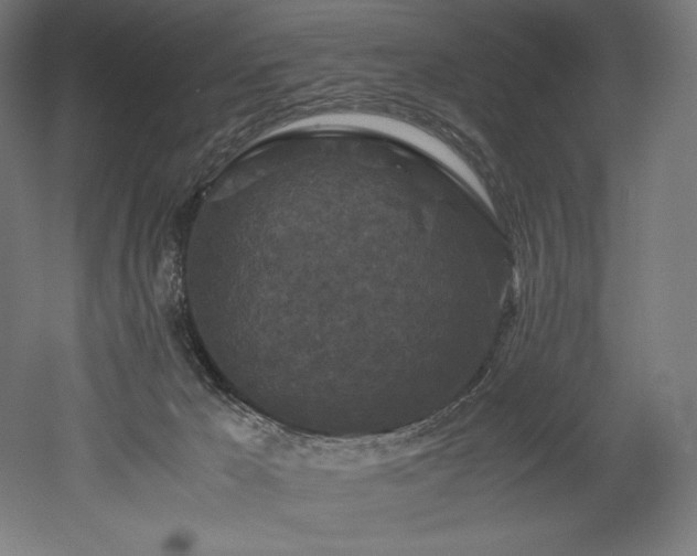 X0000052650029200507011424