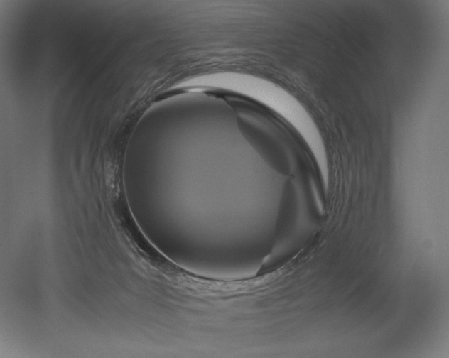 X0000052650031200507011424