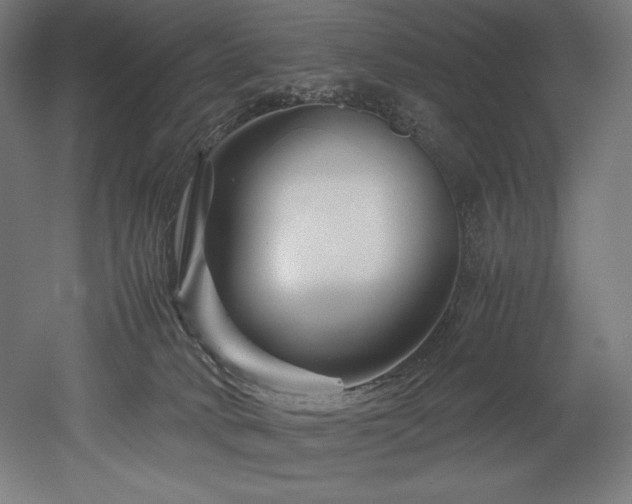 X0000052650034200507011424
