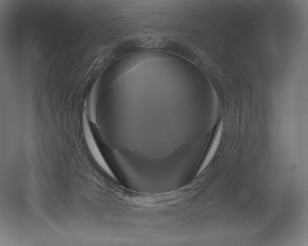 X0000052650035200507011424