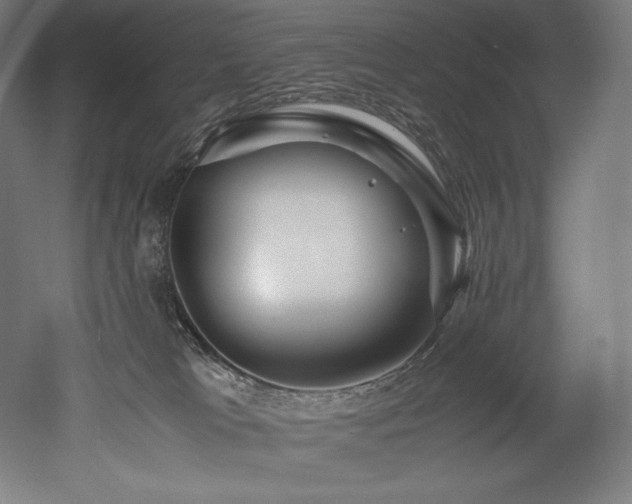 X0000052650037200507011424