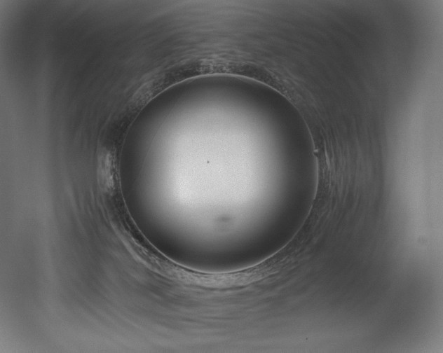 X0000052650038200507011424