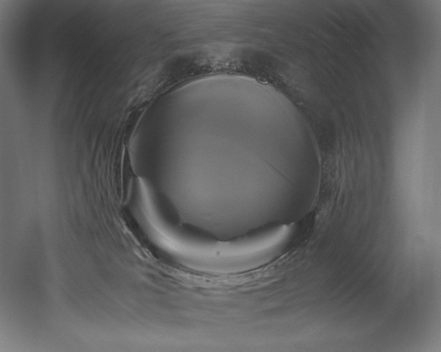 X0000052650039200507011424