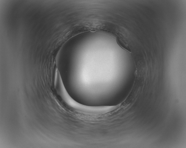 X0000052650040200507011424