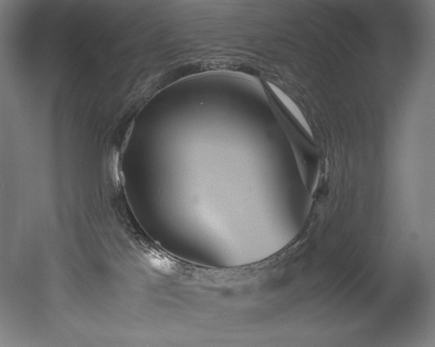 X0000052650041200507011424