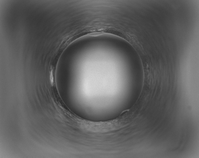 X0000052650042200507011424