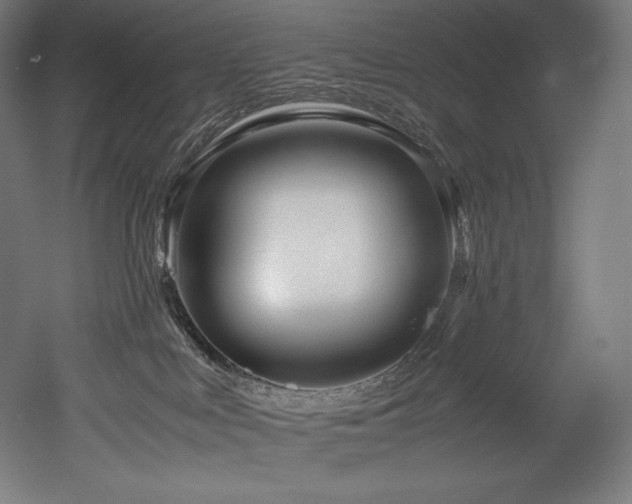 X0000052650043200507011424