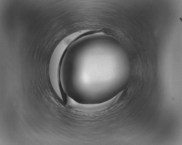 X0000052650044200507011424