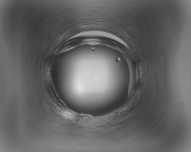 X0000052650045200507011424