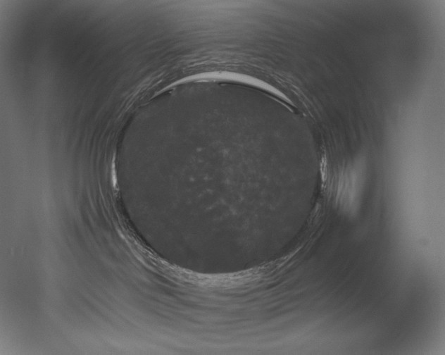 X0000052650046200507011424
